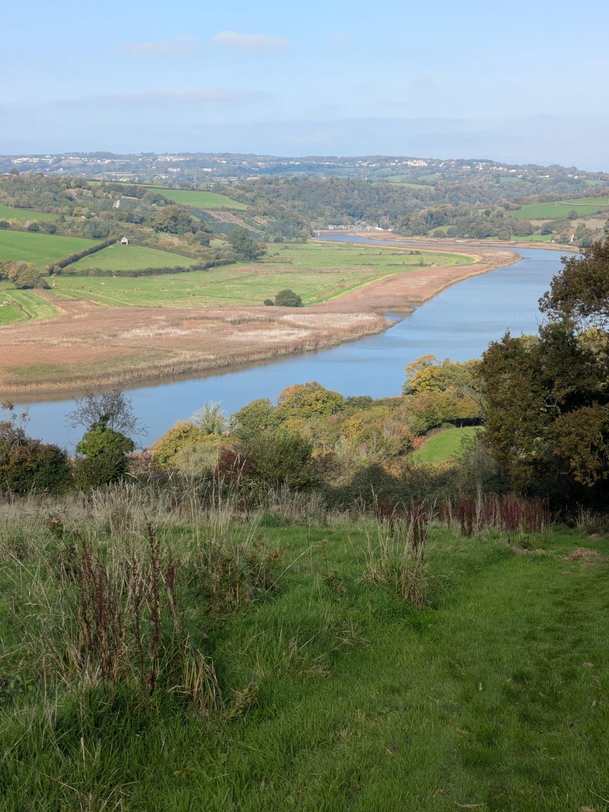 View of River Tamar